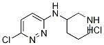 6-氯-N-3-哌啶基-3-哒嗪胺盐酸盐 结构式