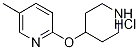 5-甲基-2-(4-哌啶基氧基)吡啶盐酸盐 结构式