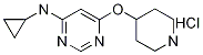 N-环丙基-6-(4-哌啶基氧基)-4-嘧啶胺盐酸盐 结构式