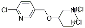 2-氯-5-[(3-哌啶基氧基)甲基]吡啶盐酸盐 结构式