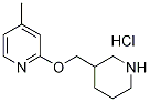 4-甲基-2-(3-哌啶基甲氧基)吡啶盐酸盐 结构式