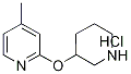 4-甲基-2-(3-哌啶基氧基)吡啶盐酸盐 结构式
