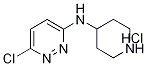 6-氯-N-4-哌啶基-3-哒嗪胺盐酸盐 结构式