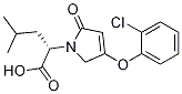 (S)-2-(4-(2-chlorophenoxy)-2-oxo-2,5-dihydro-1H-pyrrol-1-yl)-4-methylpentanoic acid