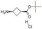 cis-tert-butyl 3-aMinocyclobutanecarboxylate hydrochloride 结构式