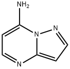 吡唑并[1,5-A]嘧啶-7-胺 结构式