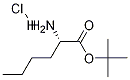 NORLEUCINE TERT-BUTYL ESTER HYDROCHLORIDE 结构式