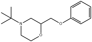 4-TERT-BUTYL-2-(PHENOXYMETHYL)-MORPHOLINE 结构式