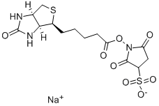 生物素 3-磺酸基-N-羟基琥珀酰亚胺钠盐 结构式
