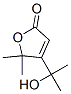 2(5H)-Furanone, 4-(1-hydroxy-1-methylethyl)-5,5-dimethyl- 结构式