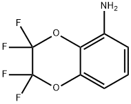 5-氨基-2,2,3,3-四氟-1,4-苯并二氧杂环乙烷 结构式