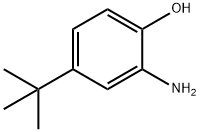 2-氨基-4-叔丁基苯酚 结构式