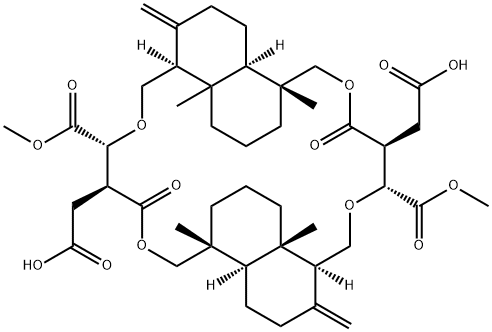 隐孔菌酸 D 结构式