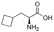 (ALPHAS)-ALPHA-氨基环丁烷丙酸 结构式