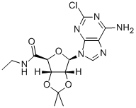 2-氯-2,3-O-异亚丙基腺苷酸-5-N-乙基羧酰胺 结构式