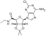 6-(6-amino-2-chloro-9H-purin-9-yl)-N-ethyl-2,2-dimethyltetrahydrofuro[3,4-d][1,3]dioxole-4-carboxamide