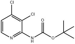 (3,4-二氯-吡啶-2-基)-氨基甲酸叔丁酯 结构式