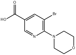 5-溴-6-吗啉烟酸 结构式