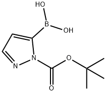 1 - (叔丁氧羰基)-1H -吡唑- 5-硼酸 结构式