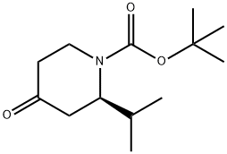 (R)-2-异丙基-4-氧代哌啶-1-羧酸叔丁酯 结构式