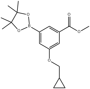 3-METHOXYCARBONYL-5-(CYCLOPROPYLMETHOXY)PHENYLBORONIC ACID, PINACOL ESTER 结构式