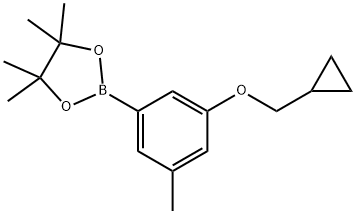 3-(CYCLOPROPYLMETHOXY)-5-METHYLPHENYLBORONIC ACID, PINACOL ESTER 结构式