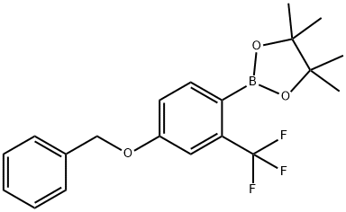 4-BENZYLOXY-2-TRIFLUOROMETHYLPHENYLBORONIC ACID PINACOL ESTER 结构式