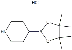 PIPERIDINE-4-BORONIC ACID PINACOL ESTER HCL 结构式