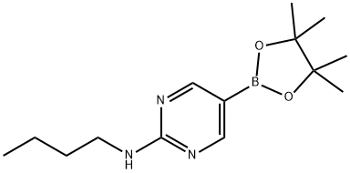 2-BUTYLAMINOPYRIMIDINE-5-BORONIC ACID, PINACOL ESTER 结构式