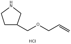 3-[(Allyloxy)methyl]pyrrolidine hydrochloride 结构式