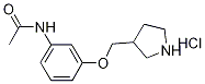 N-[3-(3-Pyrrolidinylmethoxy)phenyl]acetamidehydrochloride 结构式