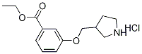 Ethyl 3-(3-pyrrolidinylmethoxy)benzoatehydrochloride 结构式