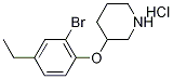 3-(2-Bromo-4-ethylphenoxy)piperidine hydrochloride 结构式