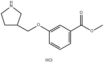 Methyl 3-(3-pyrrolidinylmethoxy)benzoatehydrochloride 结构式