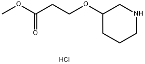 Methyl 3-(3-piperidinyloxy)propanoatehydrochloride 结构式