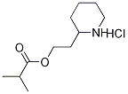 2-(2-Piperidinyl)ethyl 2-methylpropanoatehydrochloride 结构式