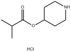 4-Piperidinyl 2-methylpropanoate hydrochloride 结构式