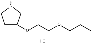 3-(2-Propoxyethoxy)pyrrolidine hydrochloride 结构式