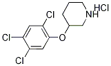 3-(2,4,5-Trichlorophenoxy)piperidine hydrochloride 结构式