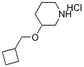 3-(Cyclobutylmethoxy)piperidine hydrochloride 结构式