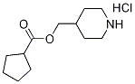 4-Piperidinylmethyl cyclopentanecarboxylatehydrochloride 结构式