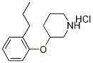 3-(2-Propylphenoxy)piperidine hydrochloride 结构式