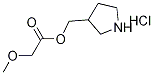 3-Pyrrolidinylmethyl 2-methoxyacetatehydrochloride 结构式