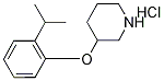 3-(2-异丙基苯氧基)哌啶 盐酸盐 结构式