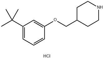 3-(tert-Butyl)phenyl 4-piperidinylmethyl etherhydrochloride 结构式