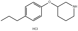 3-(4-Propylphenoxy)piperidine hydrochloride 结构式