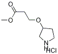 Methyl 3-(3-pyrrolidinyloxy)propanoatehydrochloride 结构式