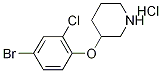 3-(4-Bromo-2-chlorophenoxy)piperidinehydrochloride 结构式