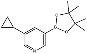 3-环丙基-5-吡啶硼酸酯 结构式