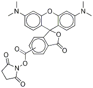 tetramethylrhodamine succinimidyl ester 结构式